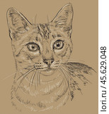 Vector outline monochrome portrait of curious Egyptian Mau Cat in black and white colors. Hand drawing illustration isolated on brown background. Стоковая иллюстрация, иллюстратор Алина Мелентьева / Фотобанк Лори