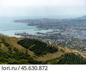 Panoramic view of Novorossiysk City and Tsemess Bay at sunrise. Morning cityscape of large port at Black Sea coast in Russia (2024 год). Стоковое фото, фотограф Фотограф / Фотобанк Лори
