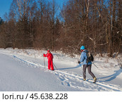 Лыжники идут по лыжне в Дмитровском районе Подмосковья. Стоковое фото, фотограф Вадим Кантор / Фотобанк Лори