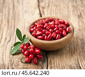 Barberry berries in wooden plate. Стоковое фото, фотограф Волошина Мария Ивановна / Фотобанк Лори