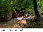 View of the Rufabgo creek on a sunny summer day, Kamennomostsky, Republic of Adygea, Russia. Стоковое фото, фотограф Ula Ulachka / Фотобанк Лори