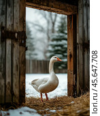 A white goose looks through the open barn door. Village landscape. Стоковое AI-изображение, AI-художник Сергей Елизарьев / Фотобанк Лори