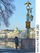 Санкт-Петербург. На Пантелеймоновском мосту через реку Фонтанку (2013 год). Стоковое фото, фотограф Александр Алексеев / Фотобанк Лори