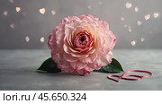Minimalism. A beautiful pale pink flower on a gray background. The concept of Valentine's Day, Mother's Day and Women's Day. A copy of the space for the text. Стоковое AI-изображение, AI-художник Photojuli / Фотобанк Лори