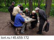 Мужчины за игрой в шахматы (2011 год). Редакционное фото, фотограф Дмитрий Киселёв / Фотобанк Лори