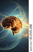 Glowing human brain with connecting synapses firing. Стоковое AI-видео, аниматор Юрий Поздников / Фотобанк Лори