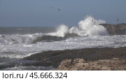 Splashes ocean waves and flying seagulls. Стоковое видео, видеограф Михаил Коханчиков / Фотобанк Лори