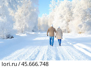 Чудесная прогулка в зимнем парке. Стоковое AI-изображение, AI-художник Щеголева Ольга / Фотобанк Лори