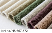 Boucle Fabric samples in various neutral colors close up arranged, texture detail, interior design palette background. Стоковое AI-изображение, AI-художник Анастасия Золотницкая / Фотобанк Лори