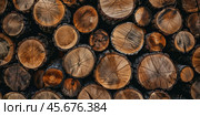 Stacks of lumber. Stacked Wood Logs Pattern Background. Pile of natural wooden trunks. Logging, deforestation, environmental issues. Forest pine and spruce trees. Log pile, lumbering timber industry. Стоковое AI-изображение, AI-художник Марина Демидюк / Фотобанк Лори