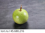 Tropical sweet fruit Sapote Star apple. Стоковое фото, фотограф Андрей Старостин / Фотобанк Лори