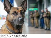 Detection dog at the airport in front of the border guards. Стоковое AI-изображение, AI-художник Евгений Харитонов / Фотобанк Лори