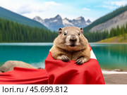 Groundhog celebrating canada day at emerald lake, yoho national park. Стоковое AI-изображение, AI-художник Иван Рябоконь / Фотобанк Лори
