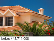 Tiled roof of a large house. Стоковое фото, фотограф Дмитрий Киселёв / Фотобанк Лори