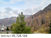 Высокогорный каток "Медео". Осень в горах. Алматы. Казахстан. Стоковое фото, фотограф Александр Тараканов / Фотобанк Лори