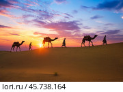 Indian cameleers camel drivers camel silhouettes in dunes on sunset. Jaisalmer, Rajasthan, India (2019 год). Стоковое фото, фотограф Дмитрий Рухленко / Фотобанк Лори