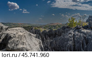 The incredible landscape of Madagascar. Gray karst rocks with steep, furrowed slopes and sharp peaks. A valley with a green forest in the distance. Blue sky, clouds. Tsingy De Bemaraha (2023 год). Стоковое фото, фотограф Вера Ивановна Кубарева / Фотобанк Лори