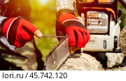A master sharpens a chainsaw chain on a sunny day. Стоковое фото, фотограф Igor Skripachev / Фотобанк Лори