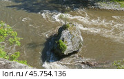 Big rock with young tree in mountain river. Стоковое видео, видеограф Михаил Коханчиков / Фотобанк Лори