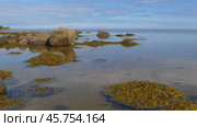 Northern White Sea in Karelia, Russia. Стоковое видео, видеограф Михаил Коханчиков / Фотобанк Лори