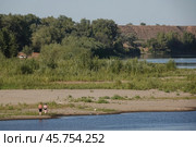 Берег реки Ахтуба в Волгоградской области (2023 год). Редакционное фото, фотограф Free Wind / Фотобанк Лори