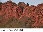 Red rocks seven oxen, coniferous trees on top of rock, 7 bulls, gorge Jety-Oguz. Стоковое фото, фотограф Екатерина Якименко / Фотобанк Лори