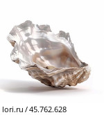 Empty oyster shell showing nacre reflecting light on white background. Стоковое AI-изображение, AI-художник Иван Рябоконь / Фотобанк Лори