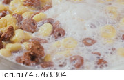 Breakfast Chocolate corn cereal in a bowl with milk. Стоковое видео, видеограф Андрей Армягов / Фотобанк Лори