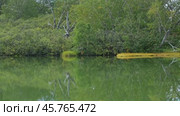 Landscape on small north lake. Стоковое видео, видеограф Михаил Коханчиков / Фотобанк Лори