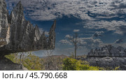 Bizarre karst cliffs against the blue sky and clouds. Sharp peaks, furrowed slopes. Green vegetation in the valley. Close-up. Madagascar. Tsingy De Bemaraha (2023 год). Стоковое фото, фотограф Вера Ивановна Кубарева / Фотобанк Лори