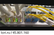 Сервер с подключенными кабелями и мигающими светодиодами. Server With Cables And Flashing LED Lights. Стоковое видео, видеограф Татьяна Д / Фотобанк Лори