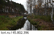 Город Заводоуковск. Осенний пруд в Центральном парке (2022 год). Редакционное видео, видеограф Александр Тараканов / Фотобанк Лори