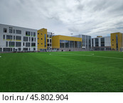 Зеленый газон спортивного стадиона. Стоковое фото, фотограф Артем Мишуков / Фотобанк Лори