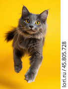 Portrait of a jumping Nibelung cat on a yellow background. Стоковое AI-изображение, AI-художник ArtVladZ / Фотобанк Лори
