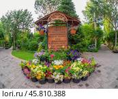 Landscape park in Abakan, Russia (2023 год). Редакционное фото, фотограф Саблин Станислав / Фотобанк Лори