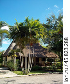 Yucatan / Mexico - 12 Mar 2011: The local restaurant, Yucatan, Mexico. Редакционное фото, фотограф Сергей Стрелков / Фотобанк Лори