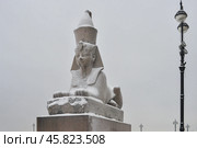 Санкт-Петербург зимой. Египетский сфинкс (2016 год). Стоковое фото, фотограф Александр Алексеев / Фотобанк Лори