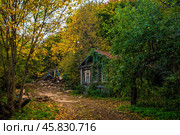 Зарастающий деревенский дом. Стоковое фото, фотограф Илья Старков / Фотобанк Лори