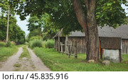 Serene countryside scene featuring a dirt road leading towards an old wooden barn under a leafy tree. Стоковое видео, видеограф Mikhail Davidovich / Фотобанк Лори