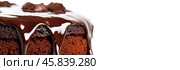 Whole Round Sacher torte wide long banner. Brown Chocolate famous Sachertorte cake with apricot jam on white background. Typical Austrian original brown sponge cake dessert with spreading cocoa glaze. Стоковое AI-изображение, AI-художник Марина Демидюк / Фотобанк Лори