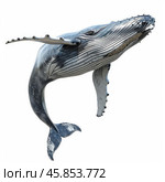 Humpback whale jumping out of water with barnacles on skin. Стоковое AI-изображение, AI-художник Иван Рябоконь / Фотобанк Лори