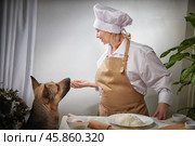 A female cook prepares dough while a shepherd dog curiously begs for scraps during a lighthearted kitchen moment. Стоковое фото, фотограф Кривошеина Елена Леонидовна / Фотобанк Лори