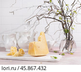 Утренний весенний завтрак с сыром в светлой комнате. Стоковое фото, фотограф Гришина Ольга / Фотобанк Лори