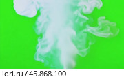 Abstract swirling white smoke on Green Screen. Smoke fume is slowly forming, moving in the air isolated on green background. Smoky fog animation among Chroma key backdrop. Compositing, visual effects. Стоковое AI-видео, аниматор Марина Демидюк / Фотобанк Лори