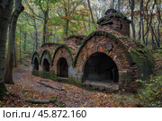 Old brick charcoal kilns crumbling in lush autumn forest. Стоковое AI-изображение, AI-художник Иван Рябоконь / Фотобанк Лори