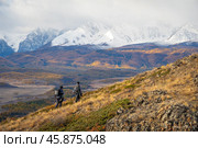 Two hikers explore a scenic mountain valley with snowy peaks and autumn colors. Стоковое фото, фотограф Антон Гвоздиков / Фотобанк Лори