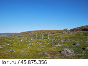 Пейзаж Териберского заповедника (2024 год). Редакционное фото, фотограф Инесса Гаварс / Фотобанк Лори