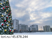 Новые дома в спальном районе города Петрозаводска зимой и нарядная новогодняя уличная елка, украшенная красными и золотыми шарами. Древлянка, Петрозаводск, Карелия. Редакционное фото, фотограф Sergei Gorin / Фотобанк Лори