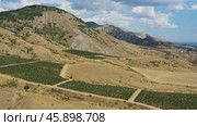 Aerial view of mountain vineyard in Crimea (2020 год). Стоковое видео, видеограф Михаил Коханчиков / Фотобанк Лори