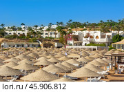 Sharm El Sheikh, Egypt - November 15, 2024: Domina Coral Bay all inclusive beach hotel. Red Sea. Редакционное фото, фотограф Григорий Стоякин / Фотобанк Лори